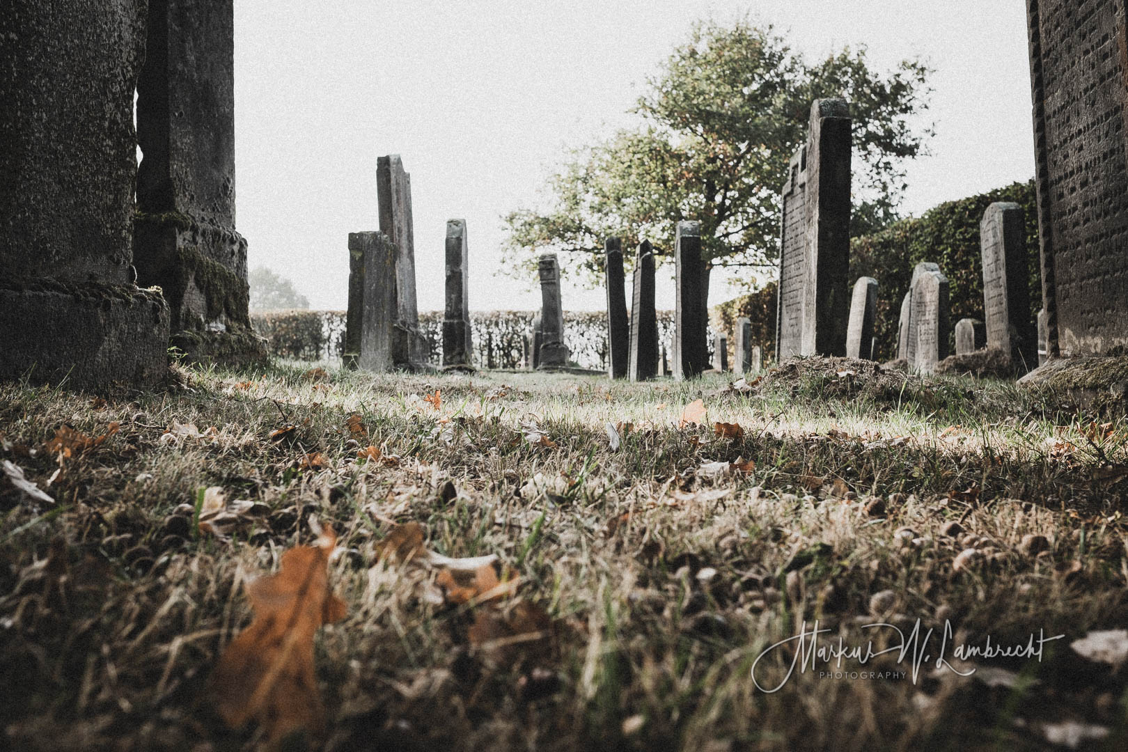 Langenschwarz, Jüdischer Friedhof